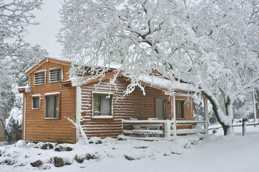 Ein Zivan Village Resort Quarto foto